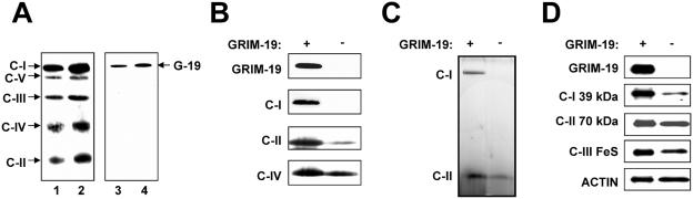 FIG. 7.