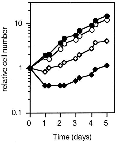 FIG. 6