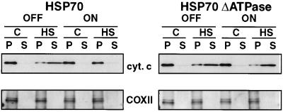 FIG. 12