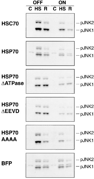 FIG. 7