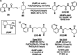 Scheme 20