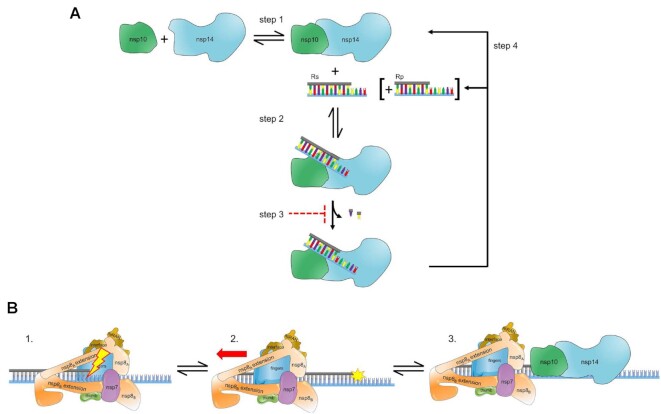 Figure 11.