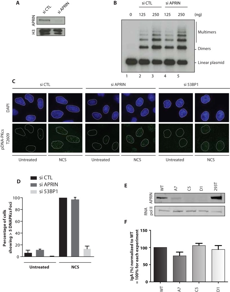 Figure 6.