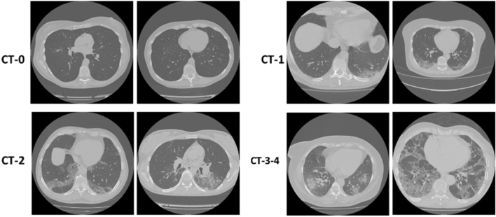 Fig. 9