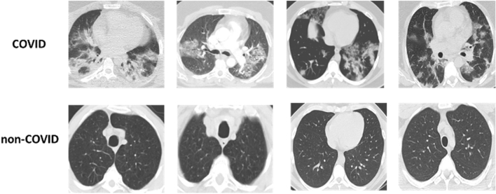 Fig. 10