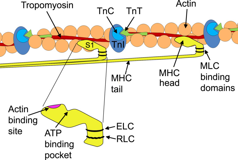 Fig. 3