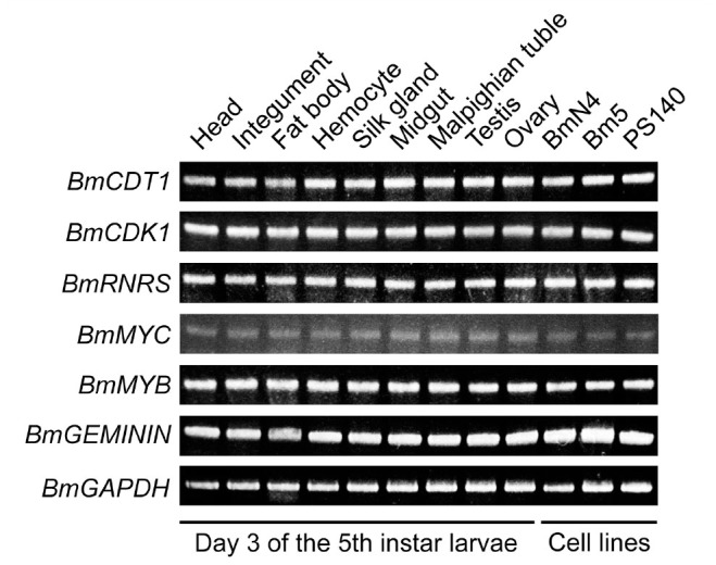 Figure 1.