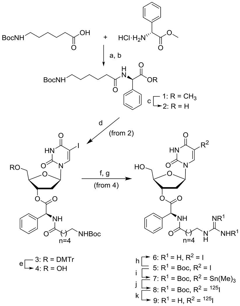 Scheme 1.