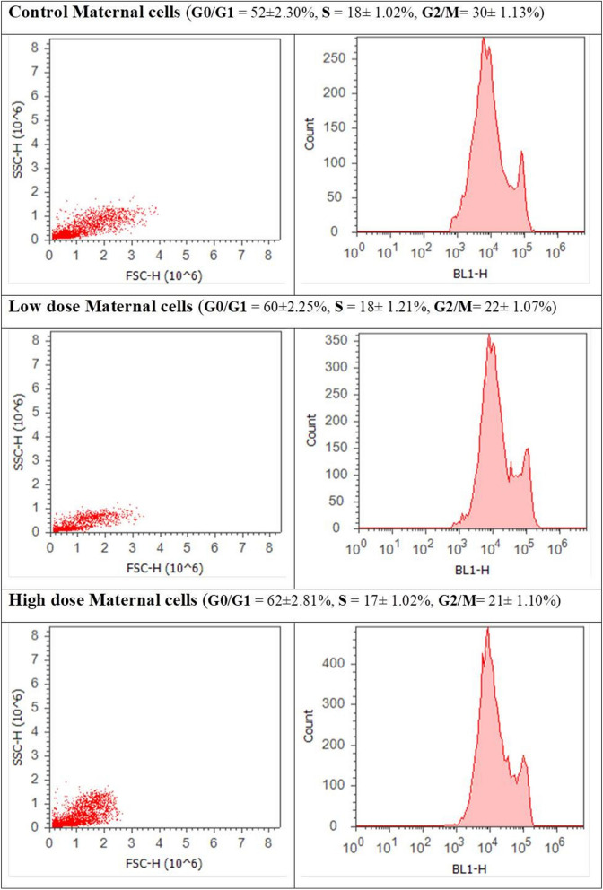 Figure 13