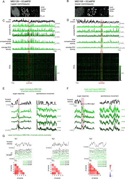 Extended Data Fig. 2