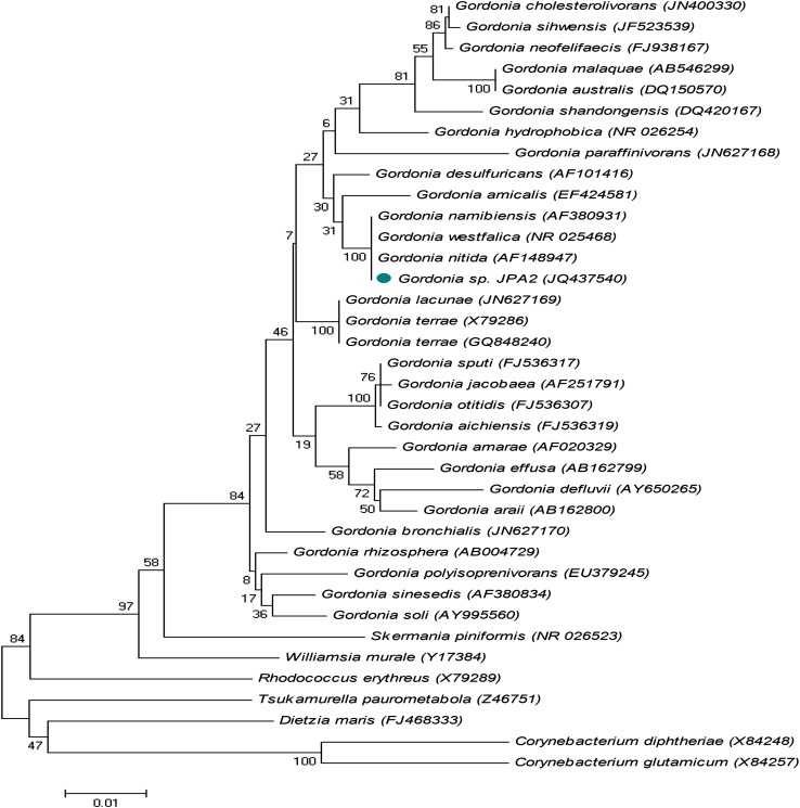 Fig. 1