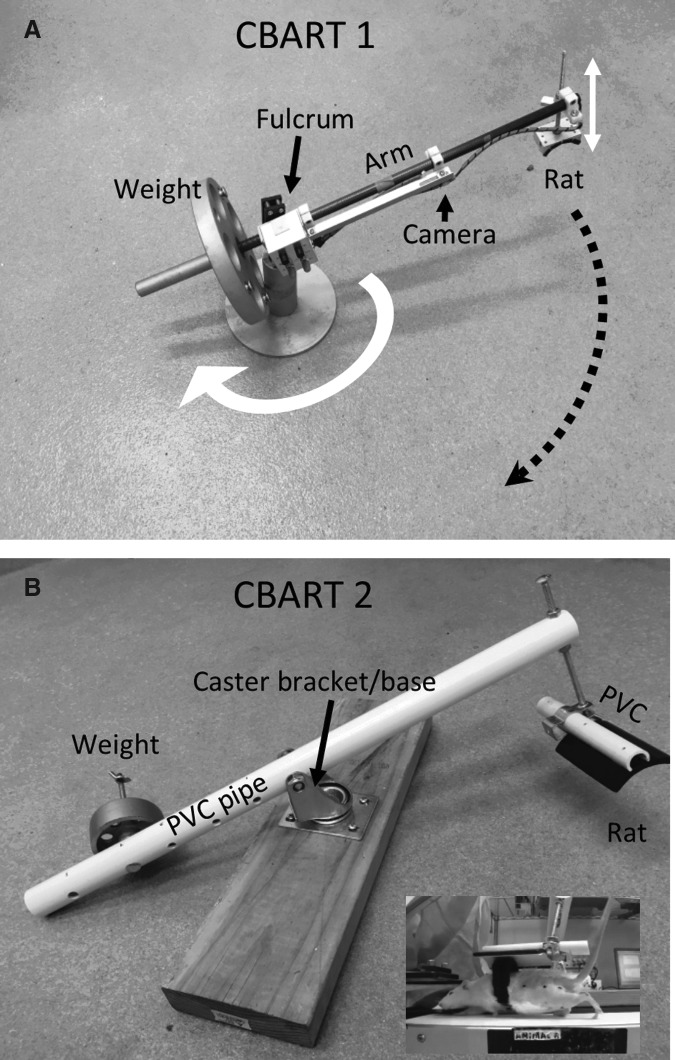 FIG. 2.