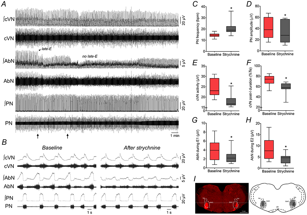 Figure 12.