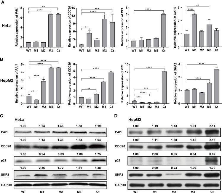 Figure 6