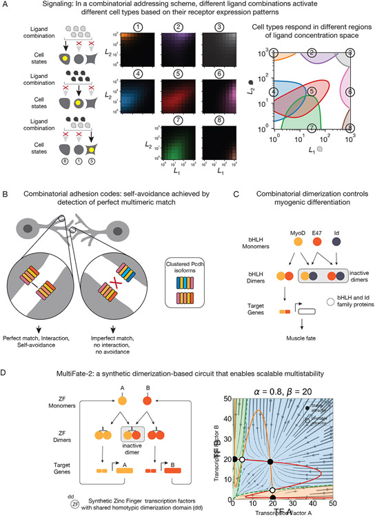 Figure 2: