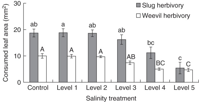 Fig. 4.