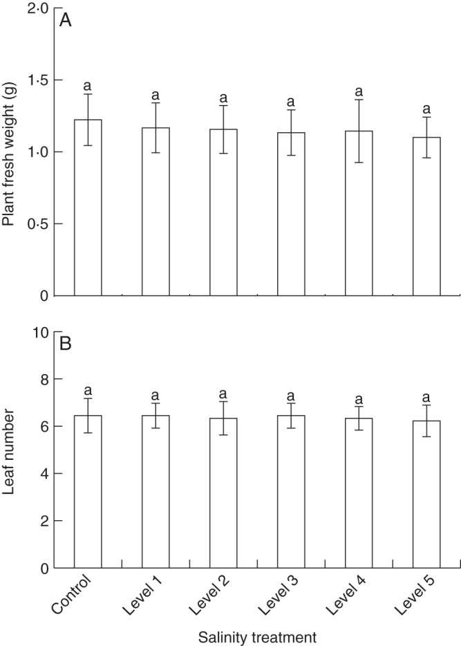 Fig. 1.