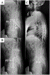Fig. 3.