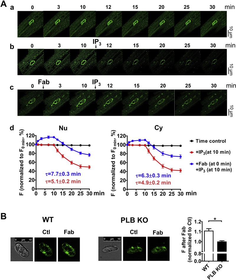 Fig. 8.