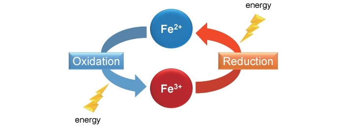 
Fig.1. Ferrous iron (Fe
2＋
) and ferric iron (Fe
3＋
)
