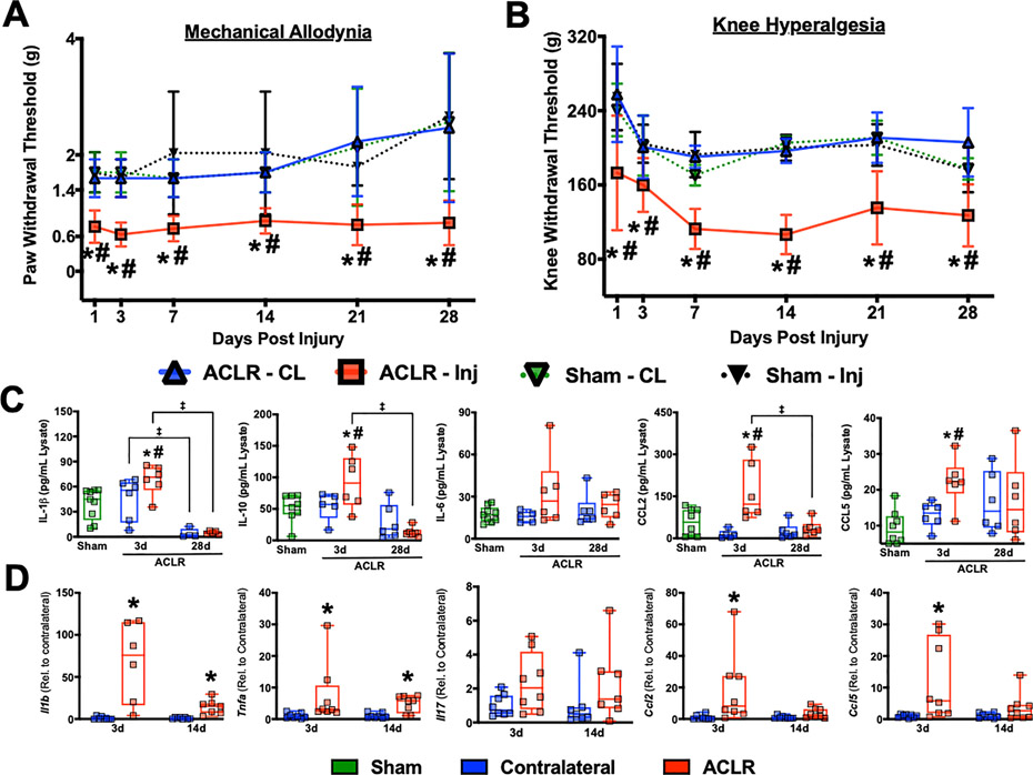 Figure 2: