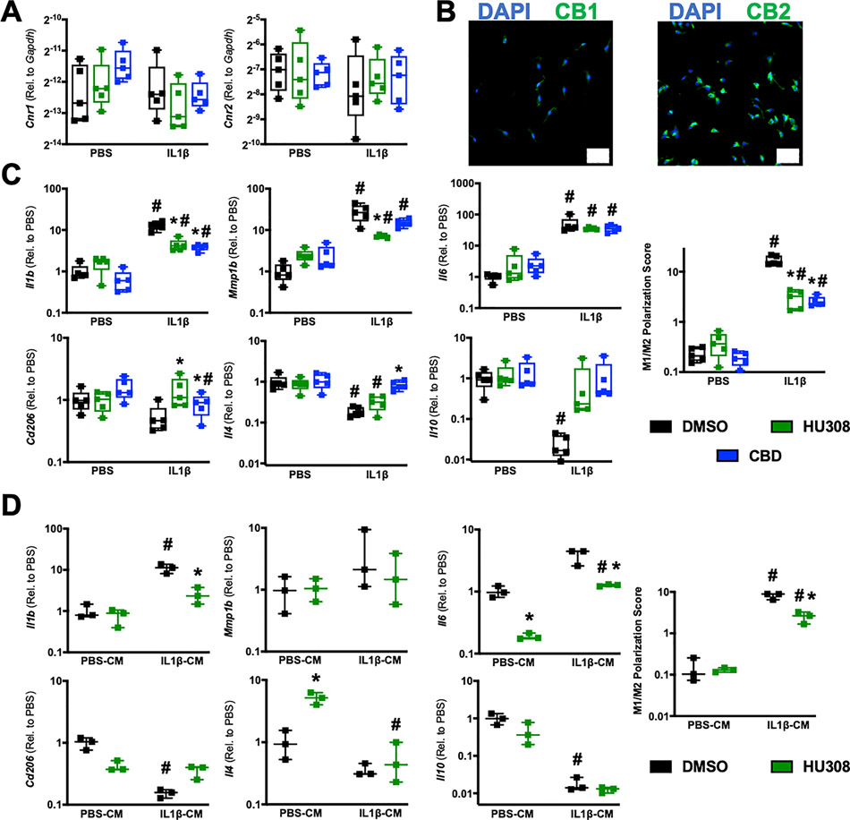 Figure 4: