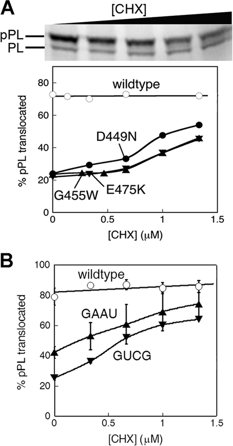 FIGURE 4.