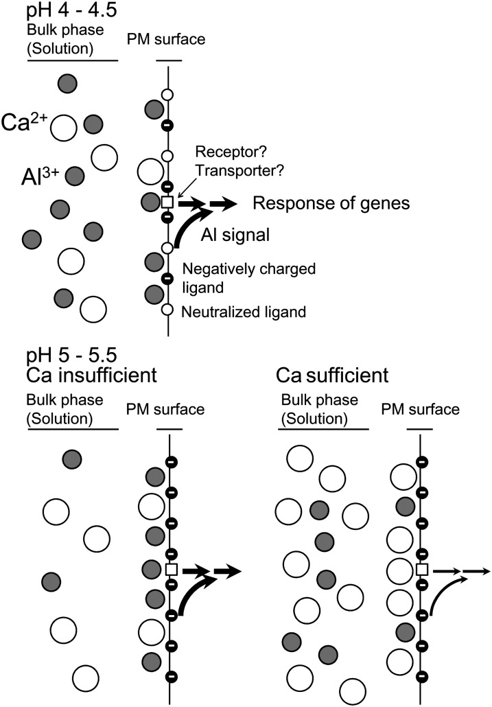 Figure 9.