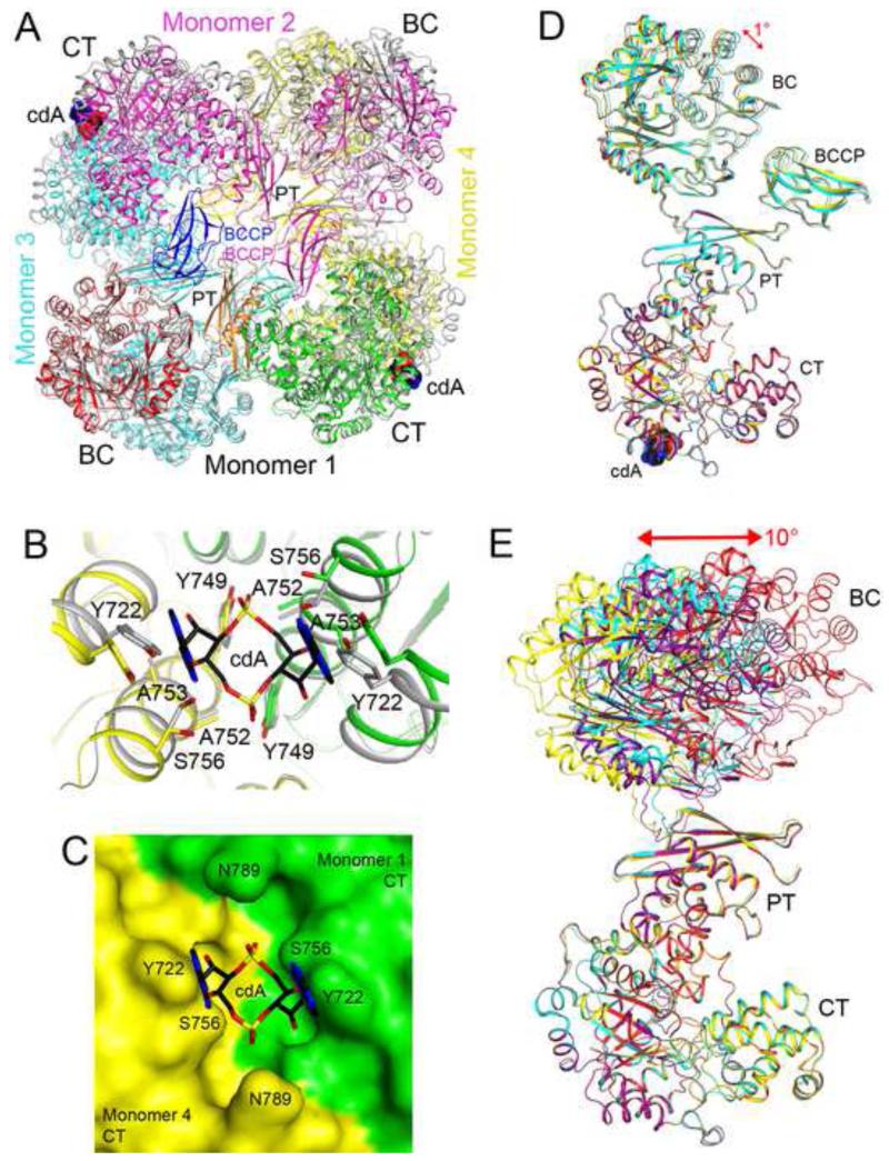 Figure 5