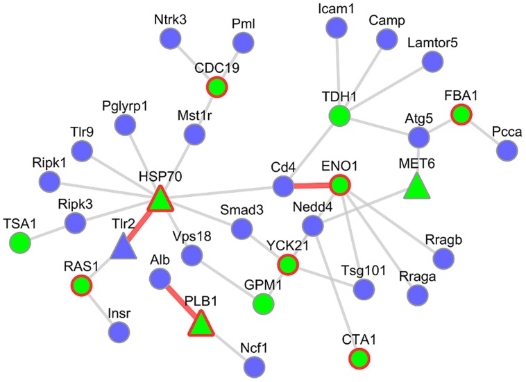 FIGURE 6