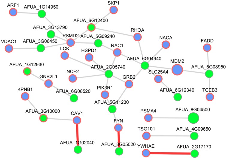 FIGURE 7