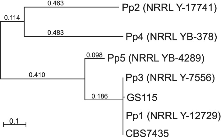 Fig. 2