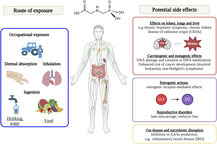 FIGURE 4