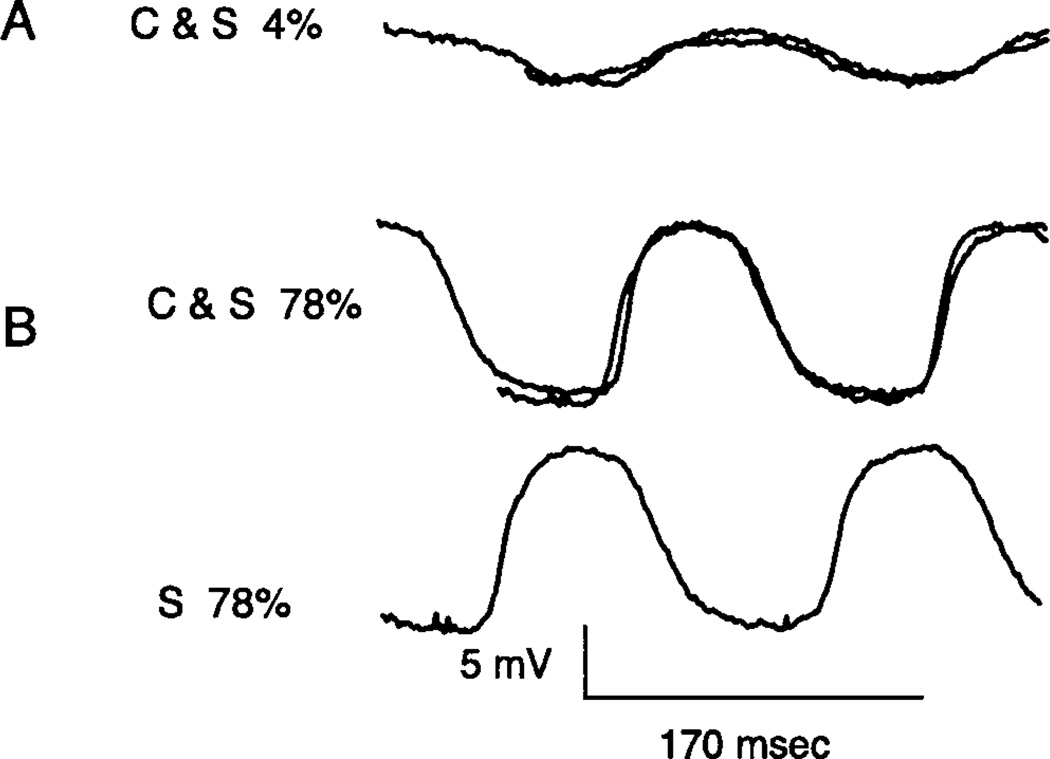 Fig. 8