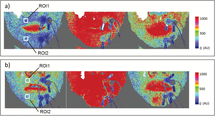 Figure 2.