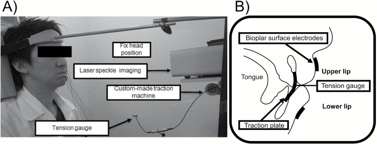 Figure 1.