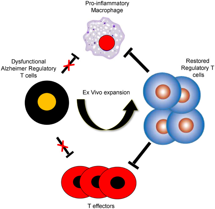 Graphical Abstract