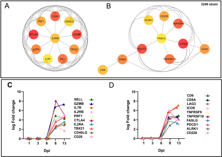 FIG 6