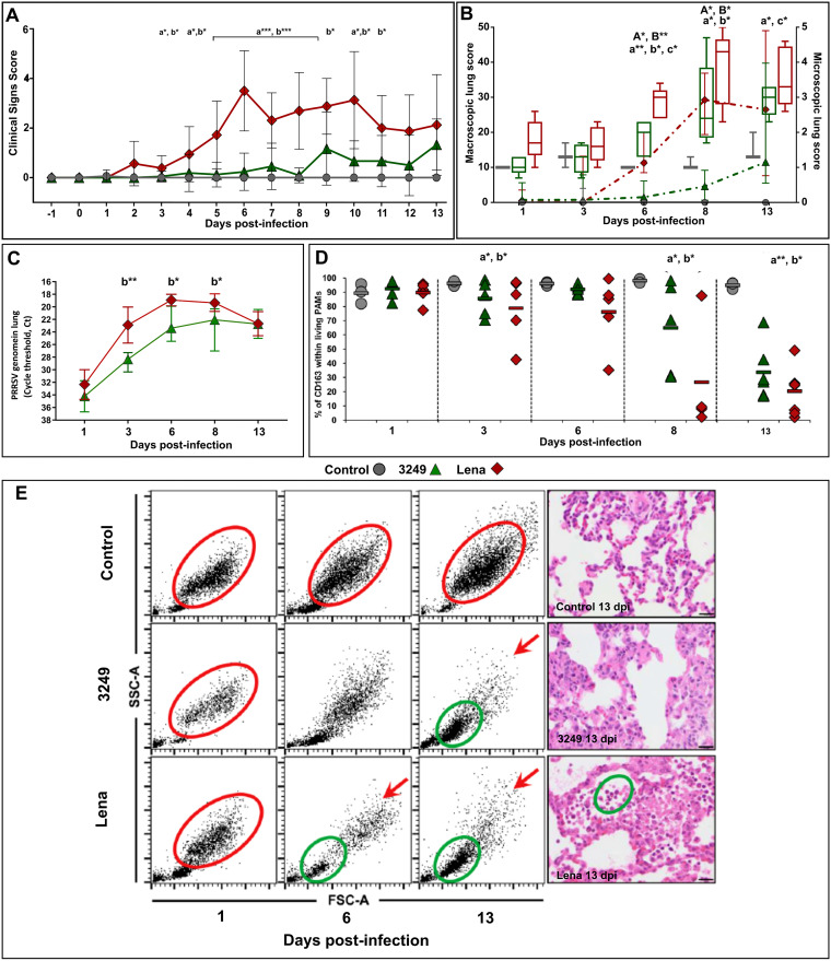 FIG 1