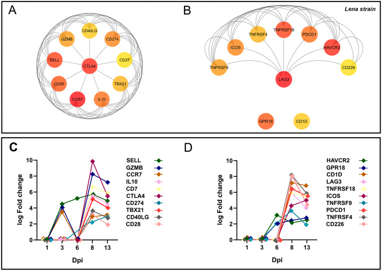 FIG 12