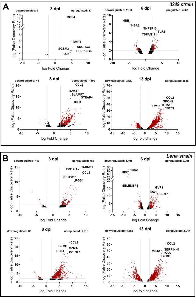 FIG 3