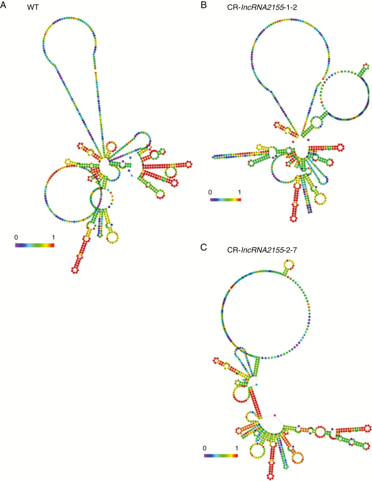 Fig. 8.