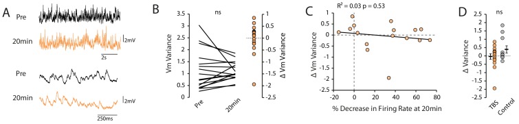 Figure 2—figure supplement 1.