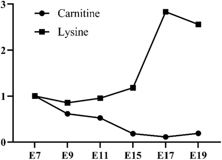 Figure 5