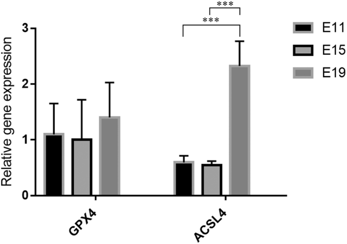 Figure 6