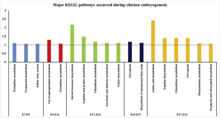 Figure 2