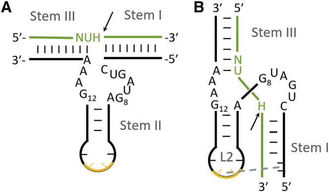 Figure 1