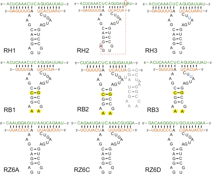 Figure 2