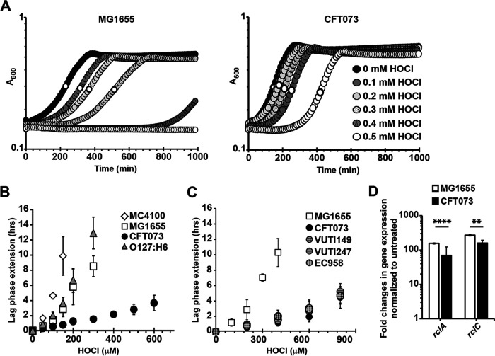 FIG 1