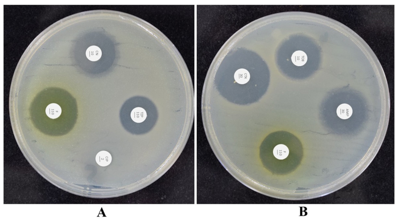 Fig. 8